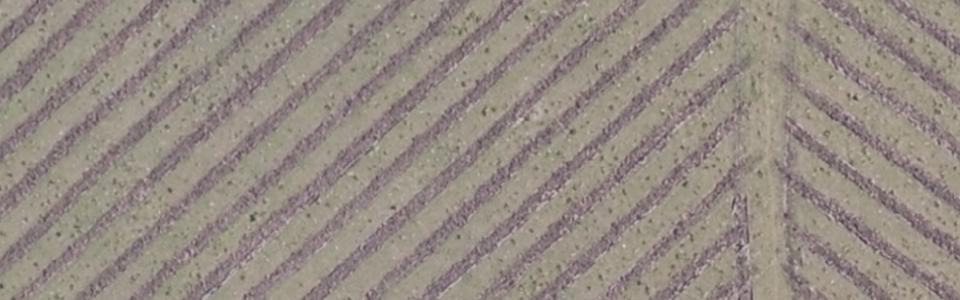 Tillage Line Detection