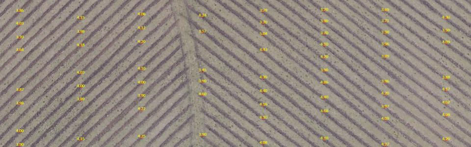 Tillage Line Detection
