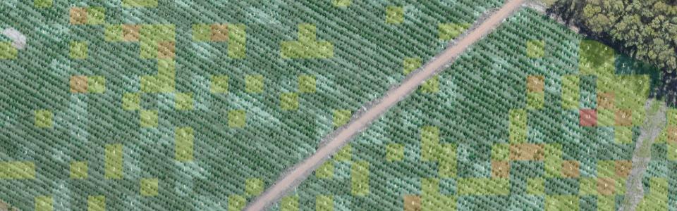 Plantation Fault Detection