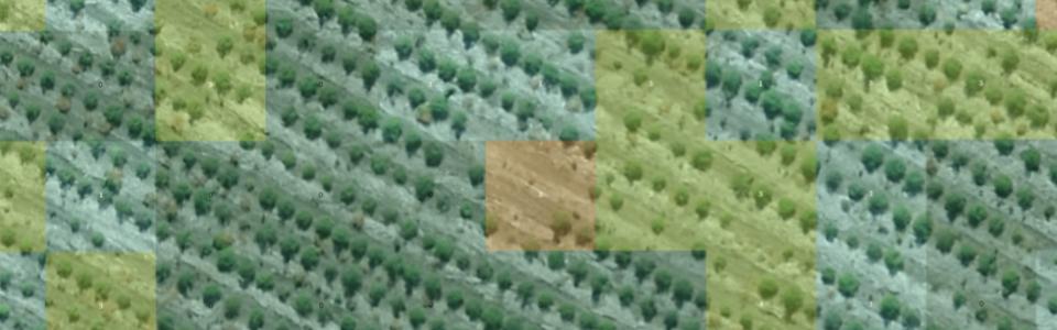 Plantation Fault Detection